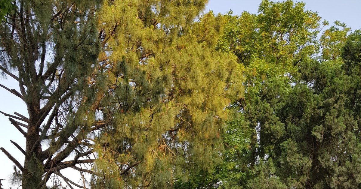 Truly Special - Stories From Vietnam And Cambodia 