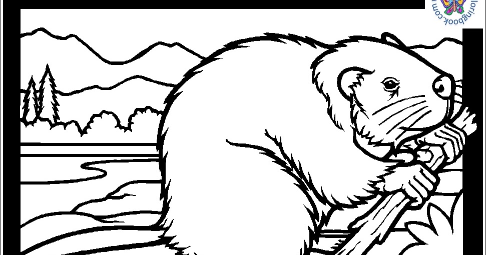 Coloring Page and Mandala Page: Rocky Mountain Animals Coloring Pages ...