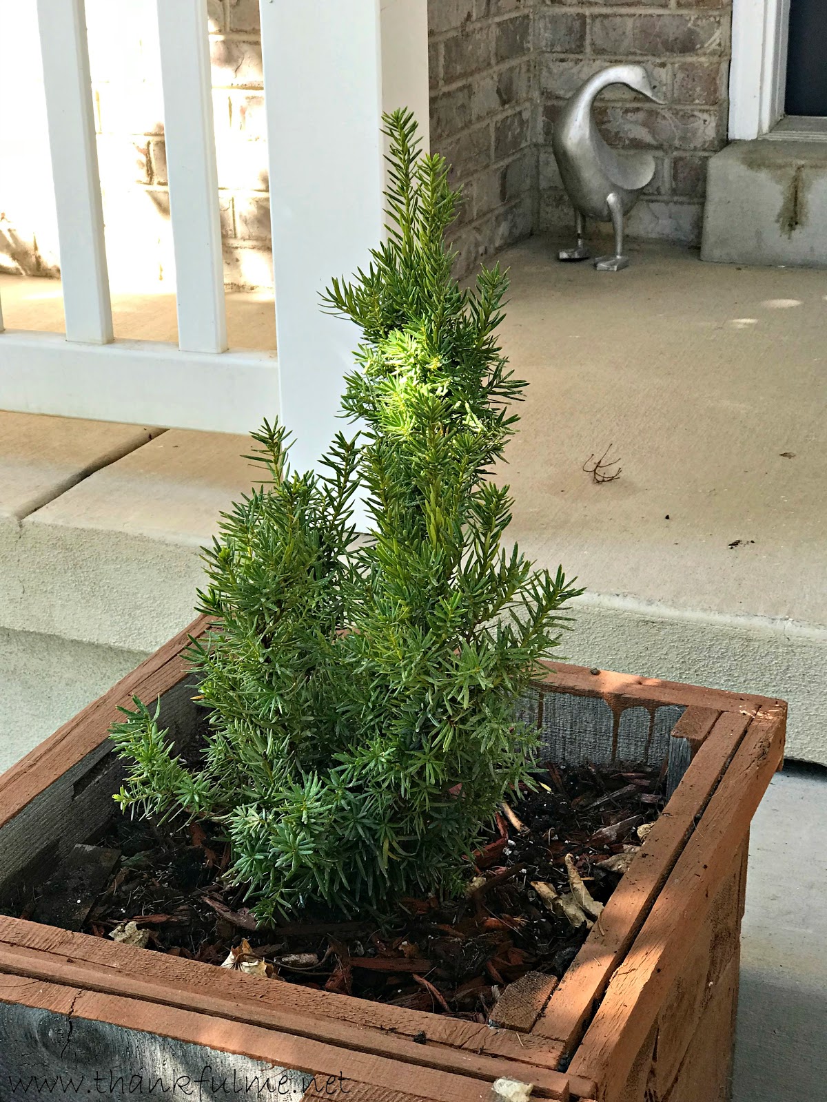Wednesday Works Planting in Containers for YearRound Interest