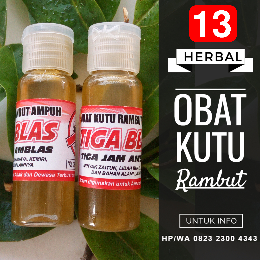 OBAT KUTU RAMBUT AMPUH