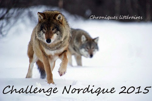 Challenge Nordique 2015 (31.12.2015)