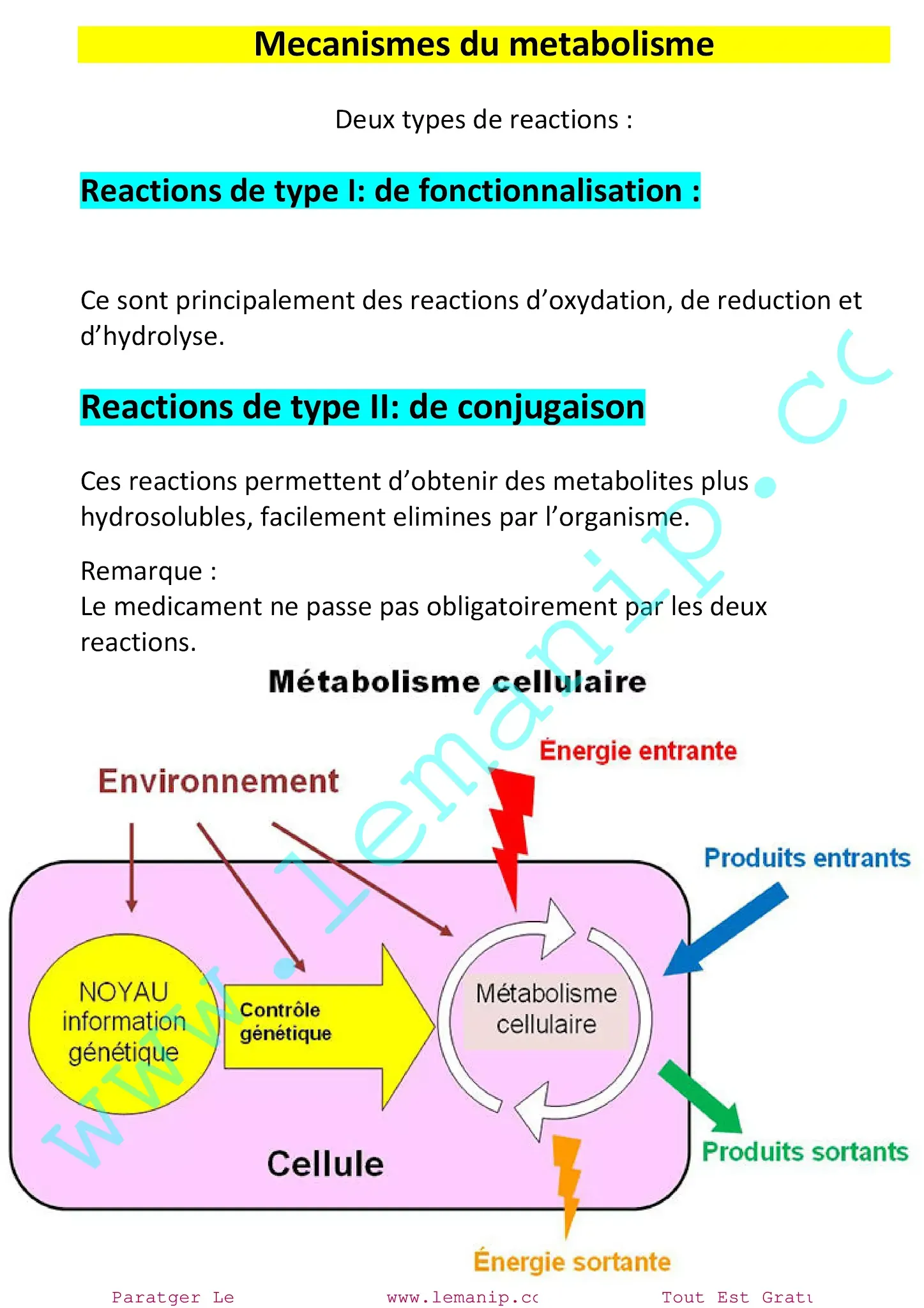 Mecanismes du metabolisme