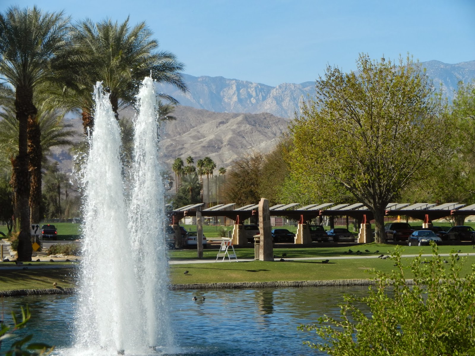 vicarious travelling Palm Springs Communty Centre and Y