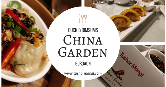 Chinese Lantern Festival 2017 Cary Nc Blue Skies For Me Please