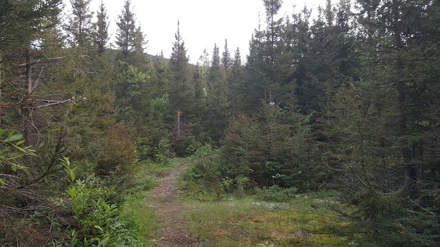 Sentier en direction vers le mont Vallières-de-Saint-Réal