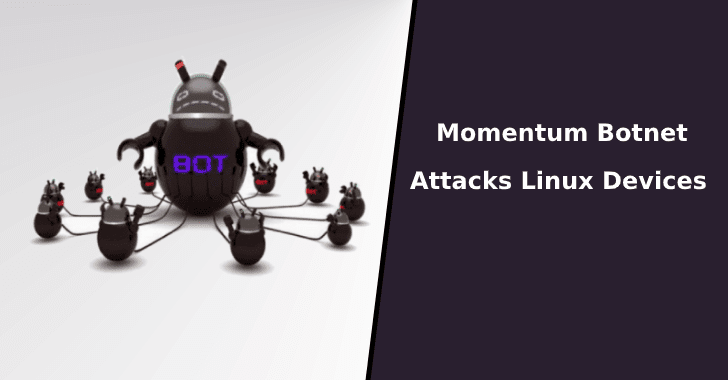 Momentum Botnet