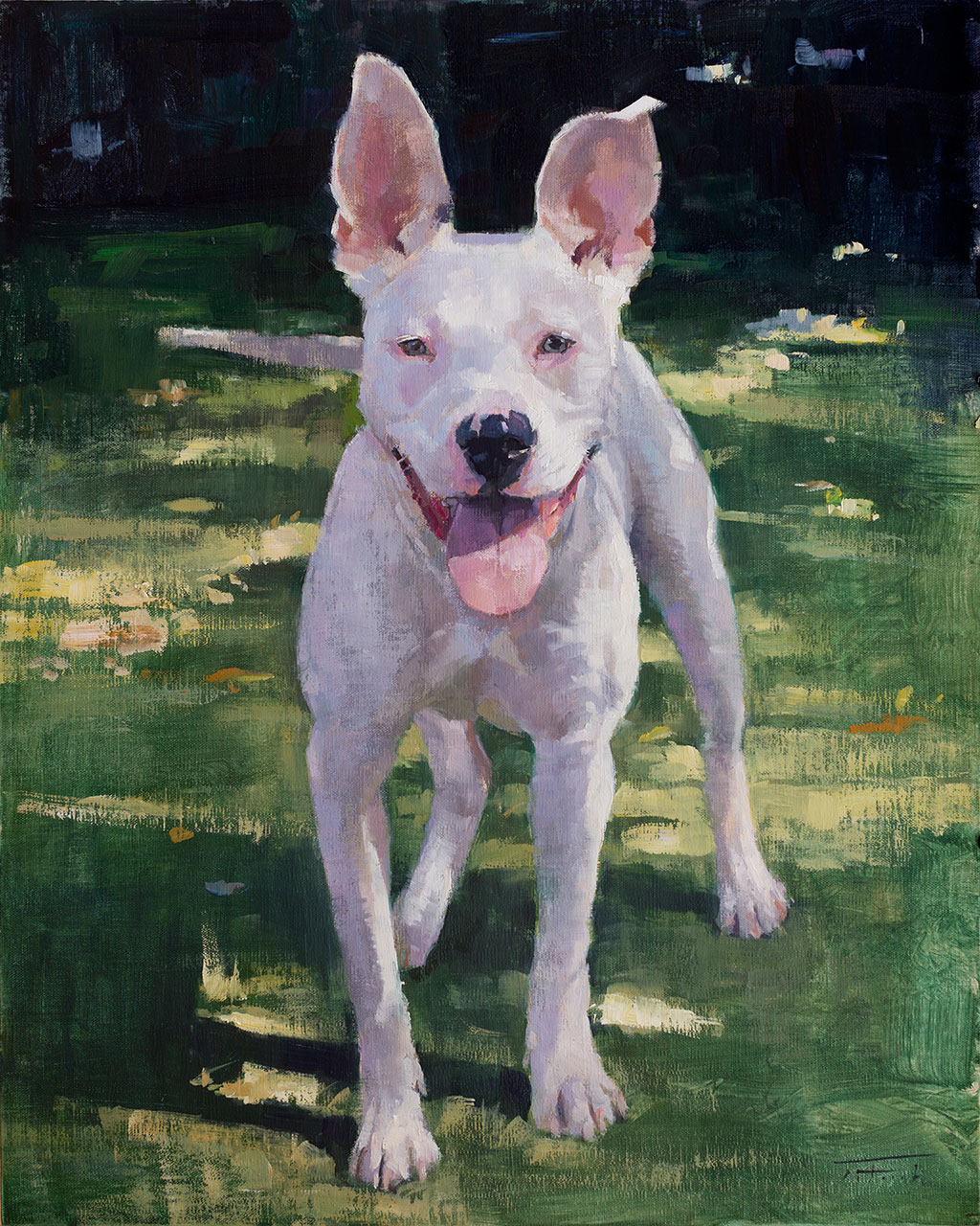 Patrick Saunders Fine Arts Pet Portraiture Dog Paintings