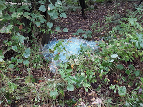 Instagram Posts At Emslandarena Picbabun