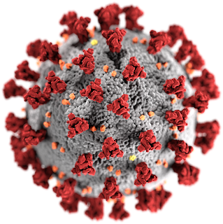 Şiddetli akut solunum yolu sendromu koronavirüsü 2 virionu