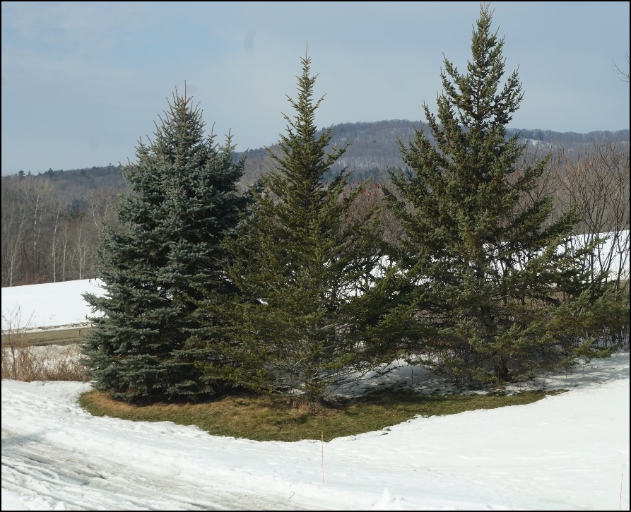 BGA Coach Hank Scores Big