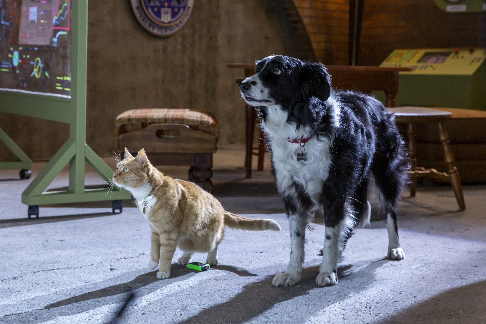 Maria's Space Cats & Dogs 3 Paws Unite! First Film Clip & Photos