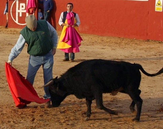 Aprendiendo a torear ...