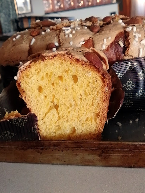 ricetta colomba facile