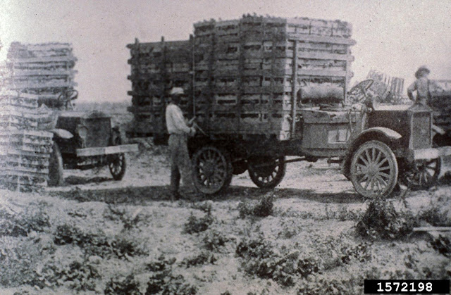 camiones de lechuga años veinte