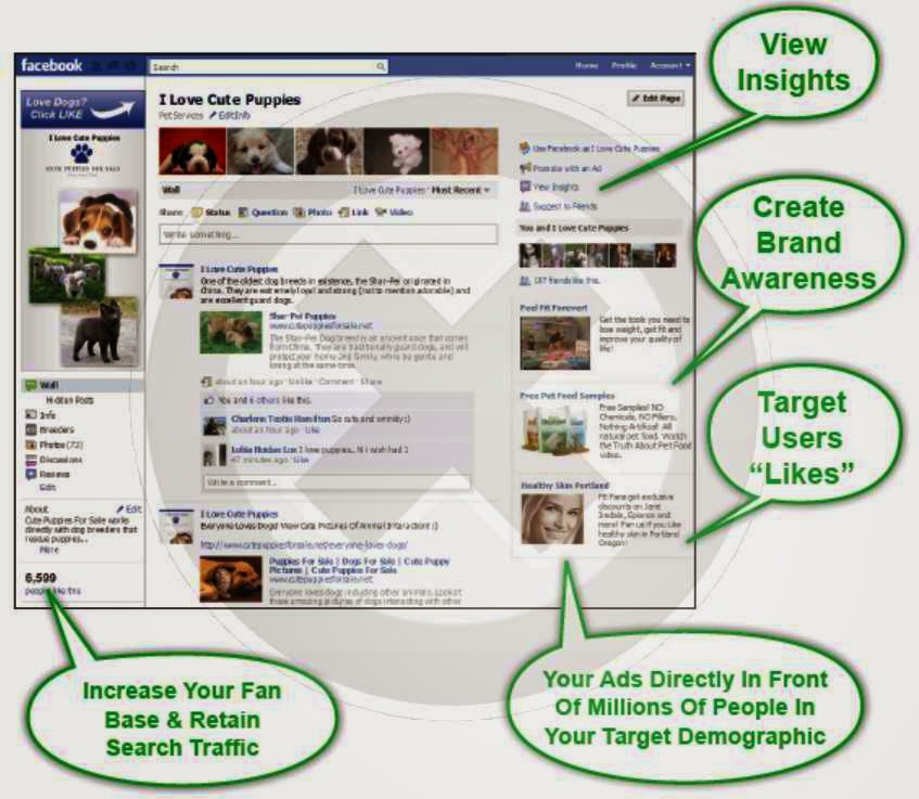 How Much Real Quantity Value of Banner Advertising Cost Best Online