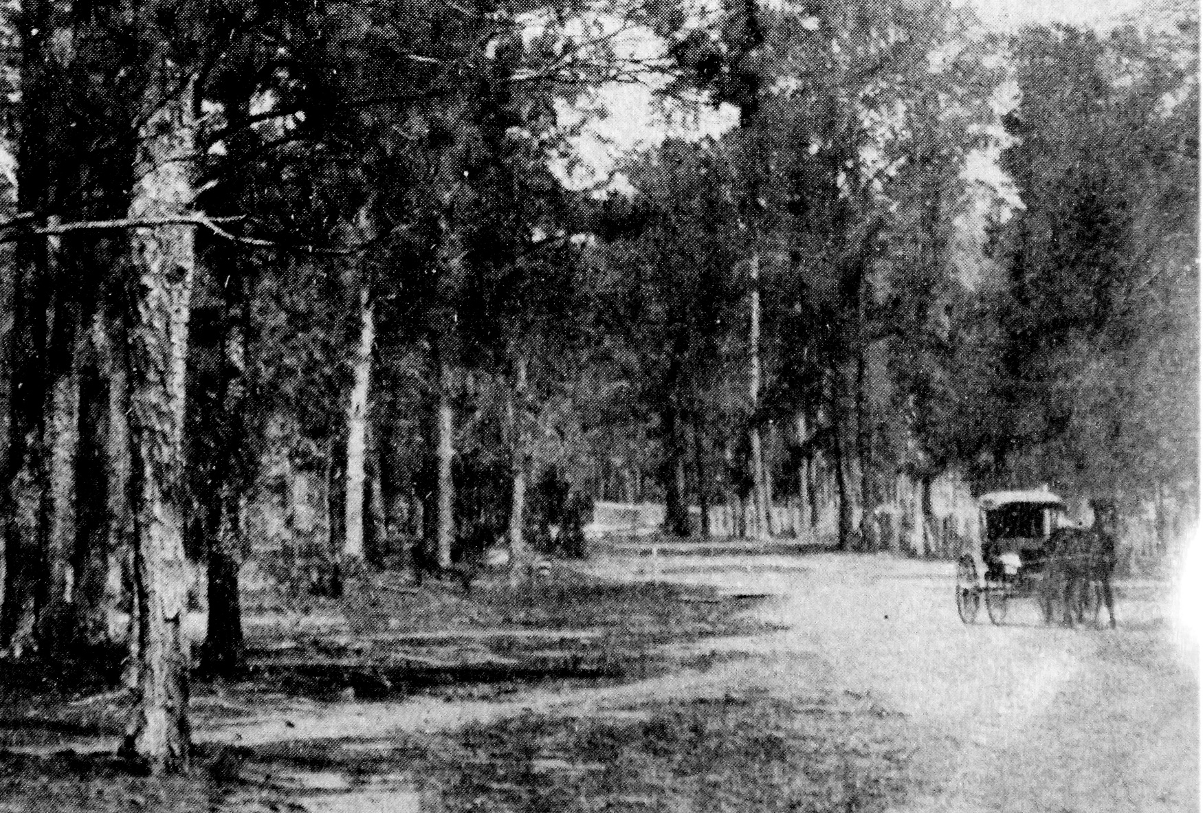 Tammany Family On The Road To Old Landing