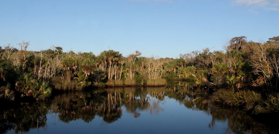 Pellicer Creek desde la US 1 Pellicer Creek desde la US 1