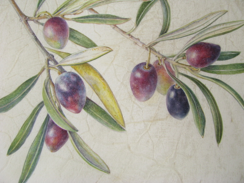Botanical Sketches and Other Stories Saving the Art of Vellum