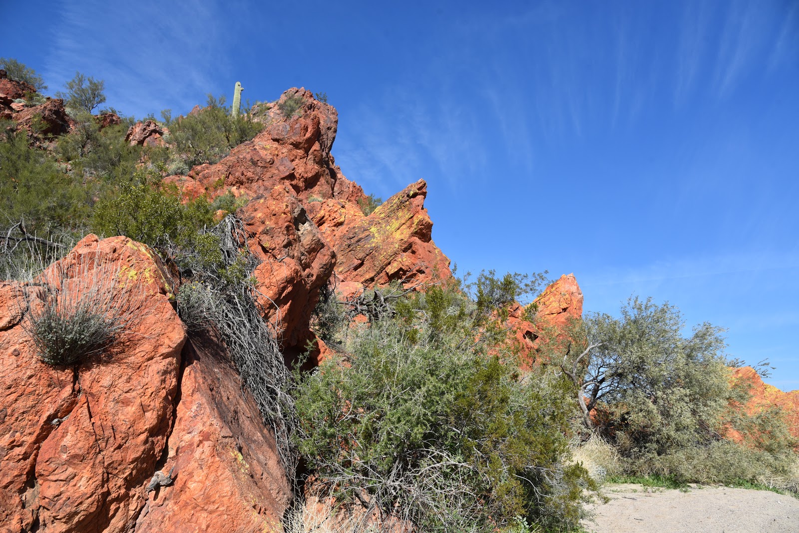 Arizona Hiking RED CLIFF