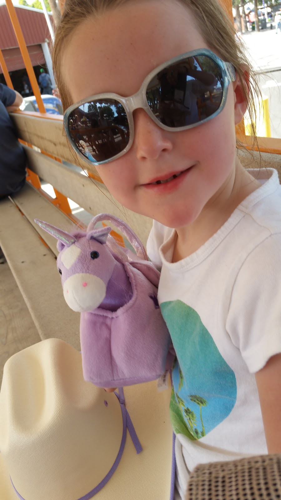 and Avery's Blog BentonFranklin County Fair and Rodeo