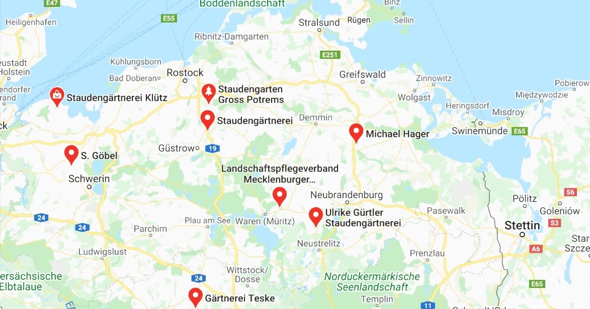 Trauminsel Rugen Perle In Der Ostsee Gemeinsam Fur M V Hansa