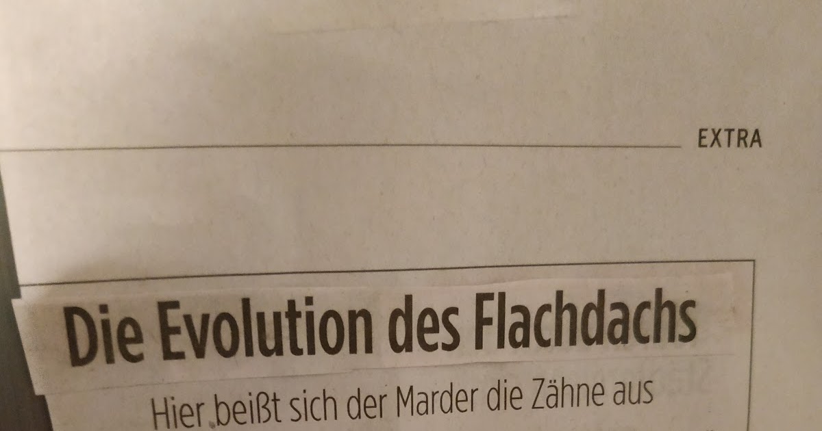 10 06 2017 S Gustrow Wandervogel