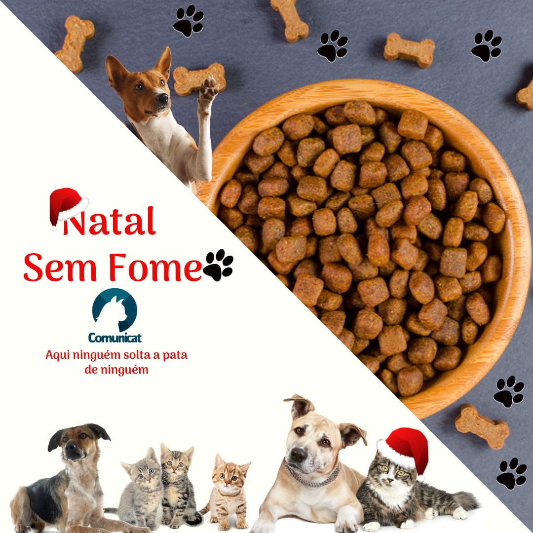 Doe ração arrecadação de raçao cães gatos