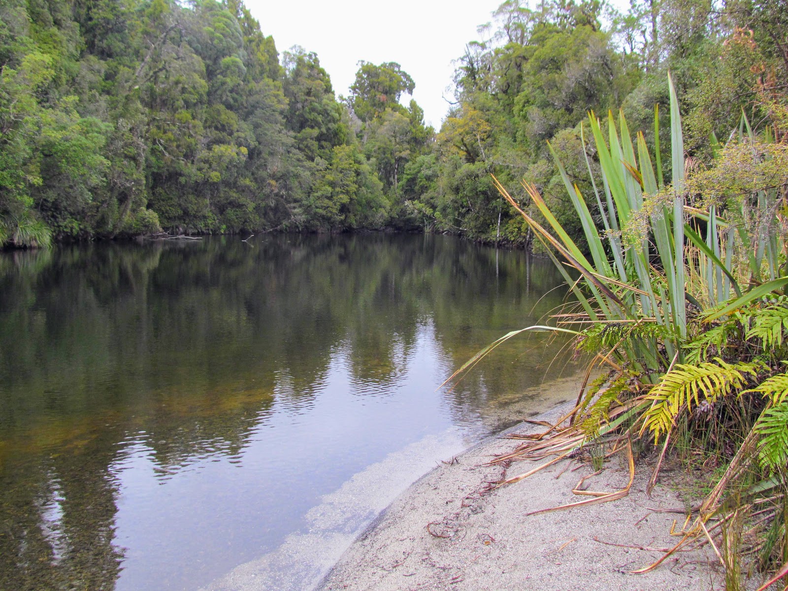 Tramping in the New Zealand backcountry NZ Bush Adventures Hokitika