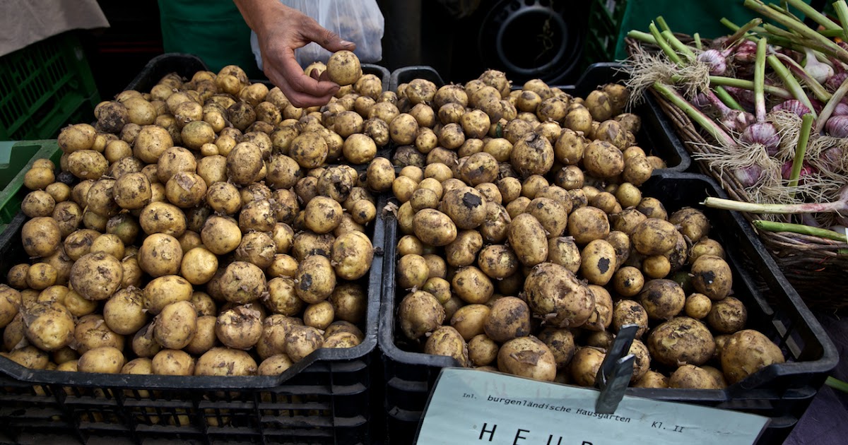 Genusskochen Food Und Lifestyle Blog