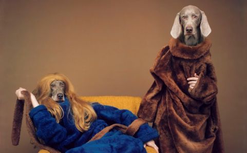 RCTC-Photo-I: Web Work 7 William Wegman
