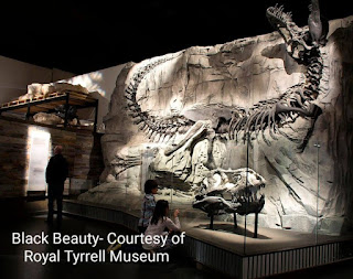 Three people look at an exhibit of a dinosaur skull and a dinosaur skeleton.