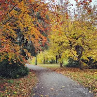 Images of Ireland: Hiking path with autumn foliage at Kilkenny Castle