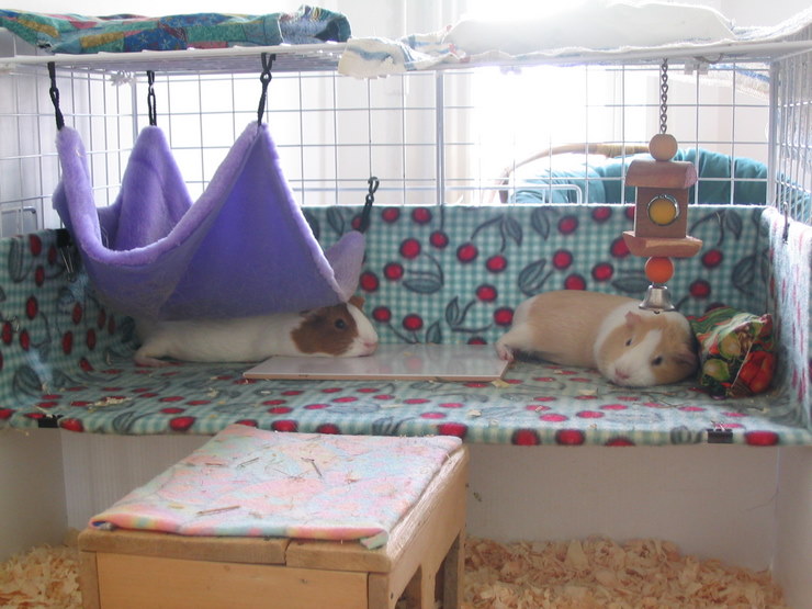 diy ramp for guinea pig cage