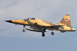 Jet Tempur F-5 Tiger II Iran Alami Kecelakaan, 2 Pilot Dinyatakan Tewas