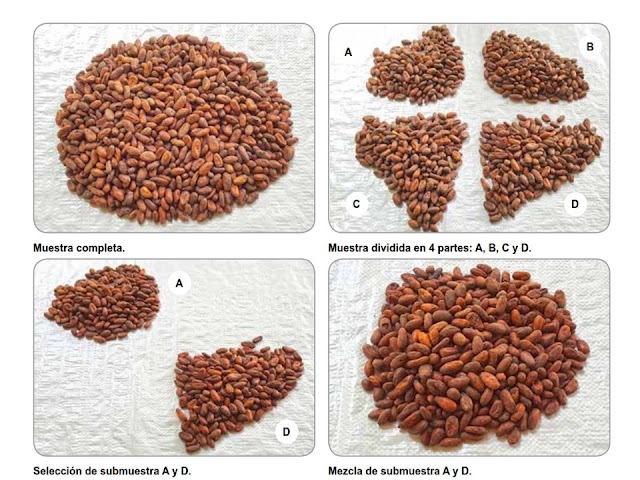 Preparación de submuestras para la prueba de corte. Preparación de submuestras para la prueba de corte por el método de cuarteo.