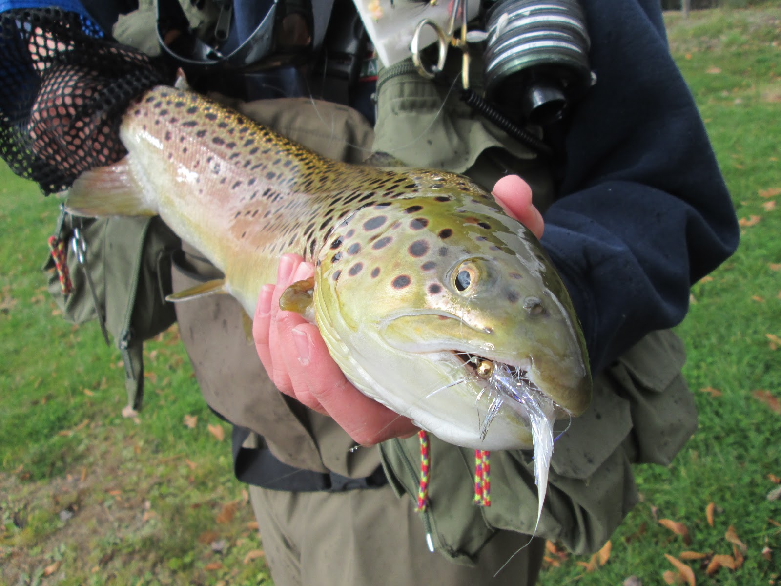 Country Kids on the Fly - Fly Tying: Flash Fly