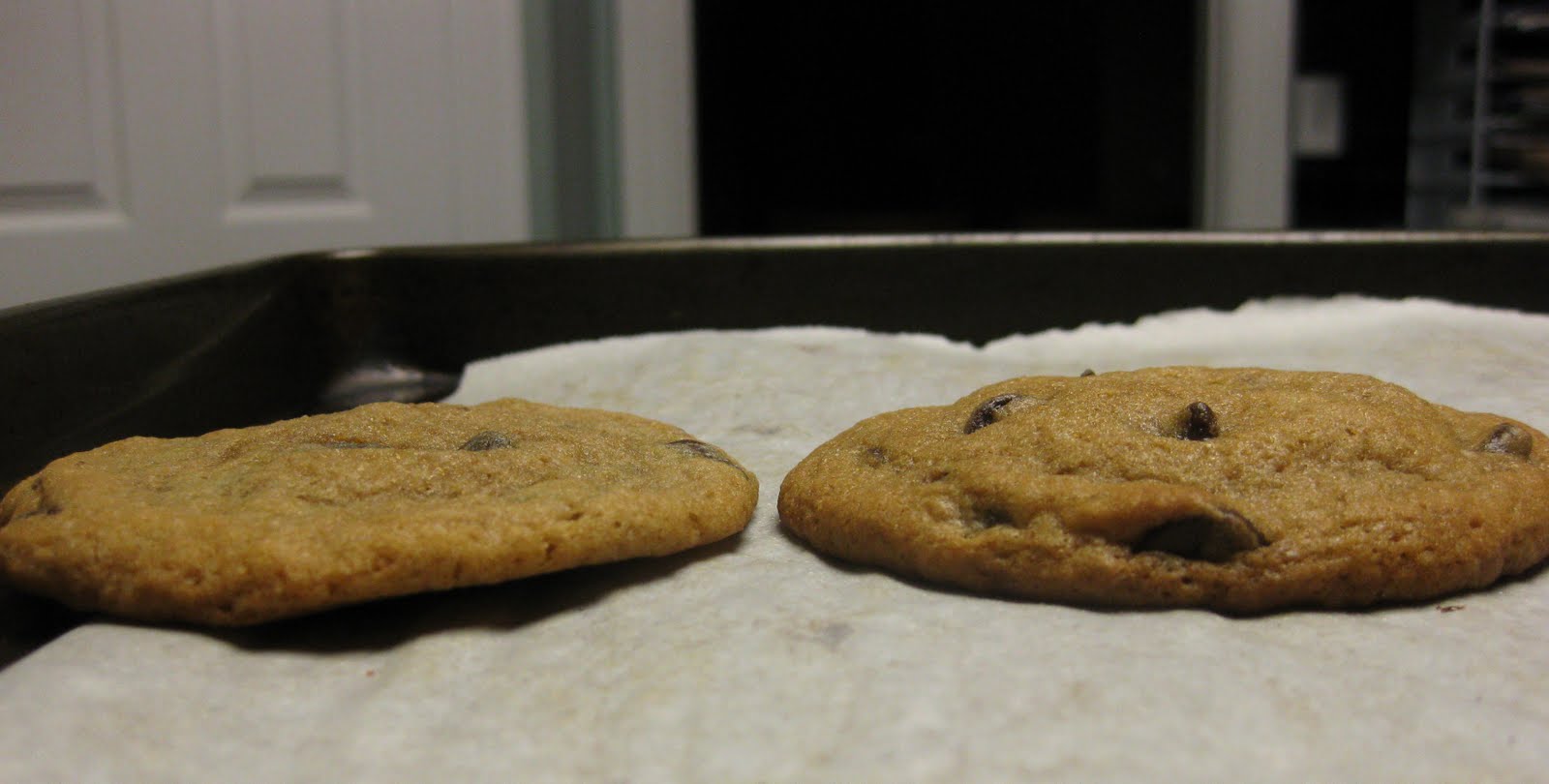 Not the Normal Teenage Fare The GREAT Chocolate Chip Cookie Experiment