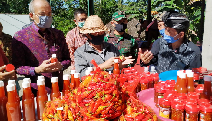 Panen Perdana di Karangasem, BI Dorong Hilirisasi Komoditas Cabai