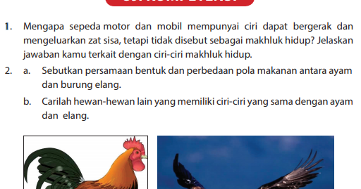 sepeda-motor-dan-mobil