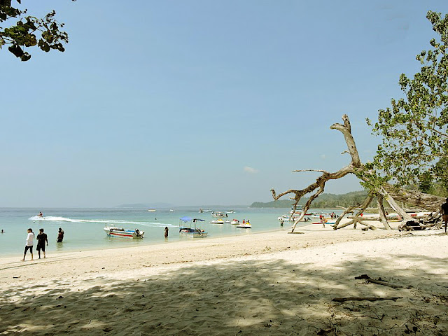 7 Sublime Beaches to Visit in Havelock Island, havelock island