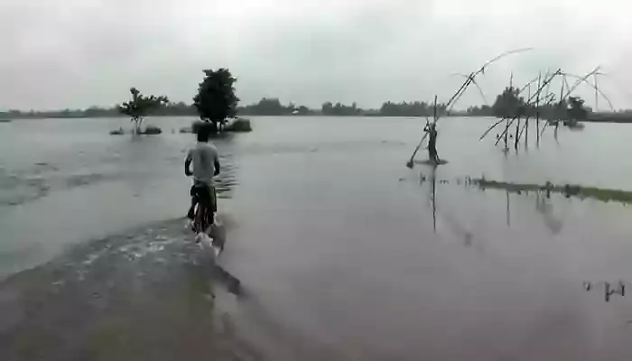 শেরপুরে ব্রহ্মপুত্রসহ সবকটি নদের পানি বৃদ্ধি অব্যহত