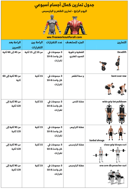 جدول تمارين كمال اجسام اسبوعي