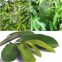 BATUK BERDARAH, ini Penyebab dan Bahayanya BATUK BERDARAH, ini Penyebab dan Bahayanya