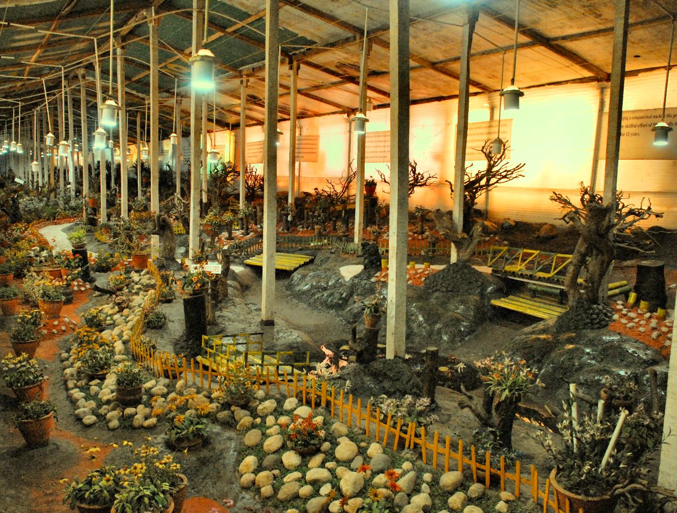 Wandering Soul!! The Thread Gardens in Ooty