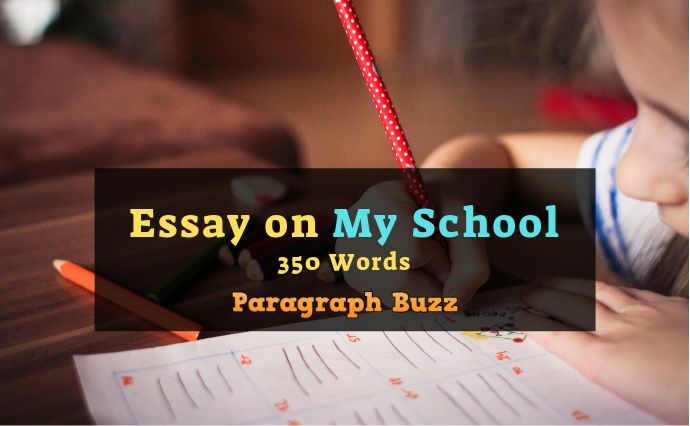 my school essay 350 words