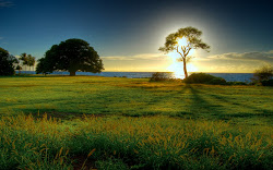 nature wallpapers amazing desktop backgrounds background nice pretty stunning awesome most spring pic photograph really grass scenery