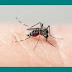 SAÚDE / Bahia registra aumento de 667% em número de casos de dengue