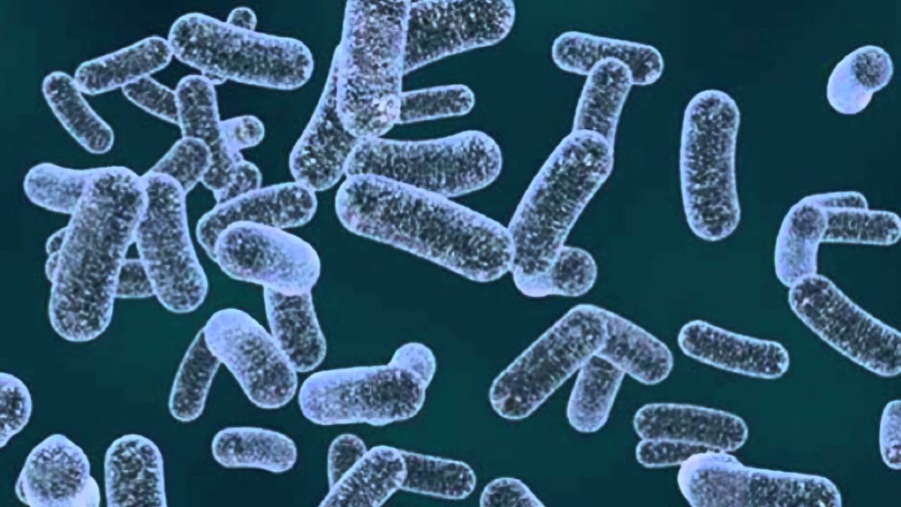 Pharmaceutical Science Journals Isolation and Identification of Multi