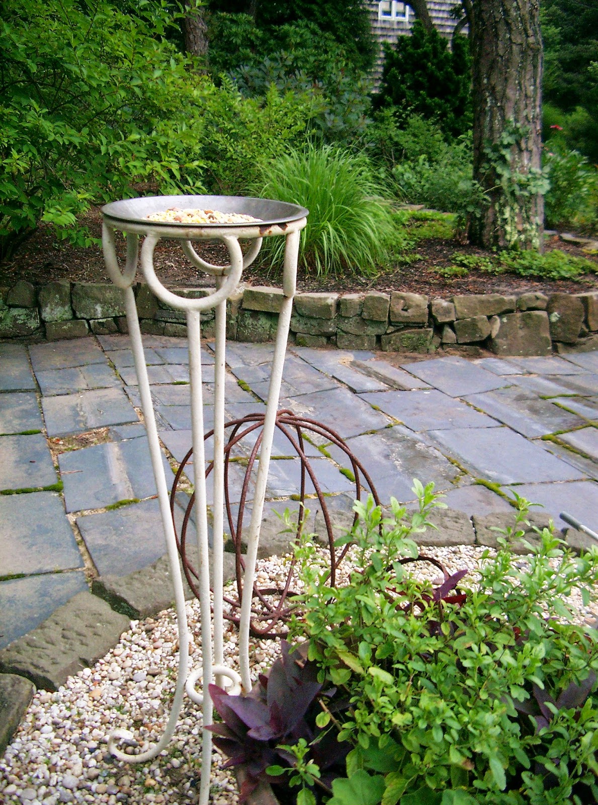 plant stand bird feeder close up ©linda nelson 2014