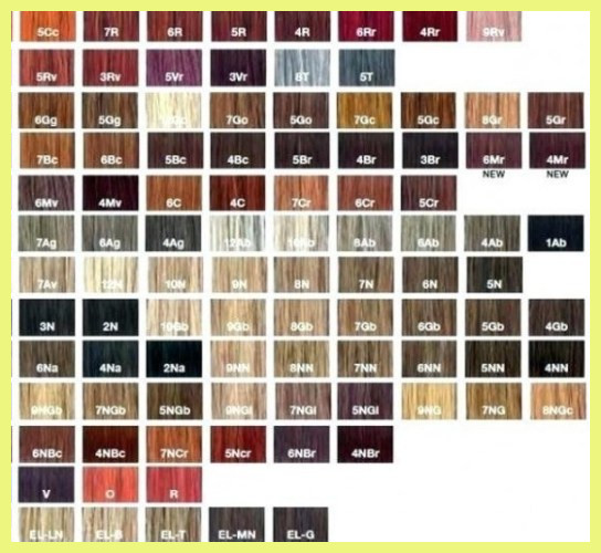 Paul Mitchell Color Swatch Book - Coloring Books